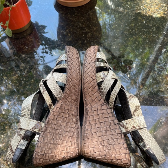 Snakeskin Print Leather Wedges